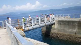 Gunkanjima Island Nagasaki Japan [upl. by Adnohryt832]