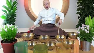 The Power of Tibetan Bowls Meditation for Inner Peace [upl. by Okemak]