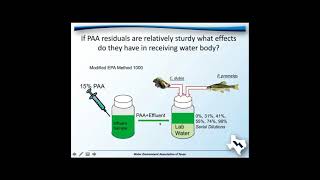 Paracetic Acid for Disinfection of Municipal Effluent [upl. by Lefty773]