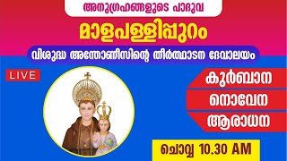 15 OCTOBER 2024  HOLY MASS  ST ANTONYS PILGRIM CHURCH MALAPALLIPURAM [upl. by Medovich]