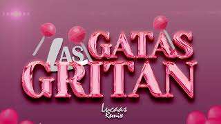 Las Gatas Gritan RKT  Lucaas Remix [upl. by Christoph890]