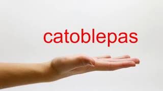 How to Pronounce catoblepas  American English [upl. by Tudela]