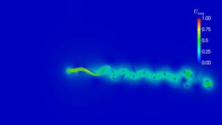 Swimming Eel with Immersed Boundary Solver IBAMR [upl. by Nottage759]