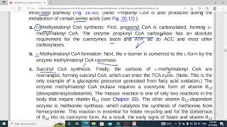 272  oxidation of odd chain fatty acid propionyl coA metabolism defects vitamin B12 deficiency10 [upl. by Solomon472]