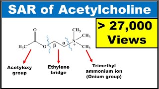 SAR of Acetylcholine SAR of Parasympathomimetics Explained with structures [upl. by Soren]