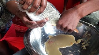 Common Carp Fish Breeding Techniques Fish Eggs Hatching [upl. by Nahn]