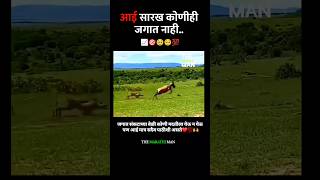 आई सारख कोणीही जगात नाही New WhatsApp status video 2024 ll Marathi Motivational video 2024 [upl. by Carmine]