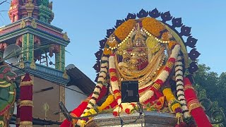 Aruthra Darshanam  Chariot Festival at Nallur Sivan Temple Jaffna Sri Lanka  27 Dec 2023 [upl. by Dirraj]