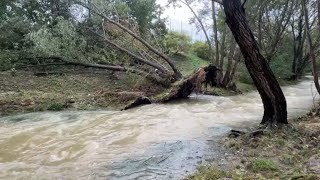 Hochwasser Wien atmet auf NÖ noch nicht [upl. by Ahgem]