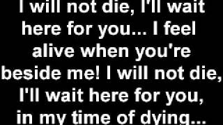 Three Days Grace  Time of Dying lyrics [upl. by Adiuqal]