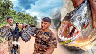 🇬🇾 Chasing ManEating Fish in Guyana  Part 1 The Adventure Begins [upl. by Ruff]