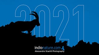 Calendrier Indionature 2021  Making of [upl. by Yrol]