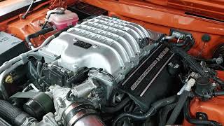 1969 Plymouth Hell Runner Engine amp Intake [upl. by Tijnar]