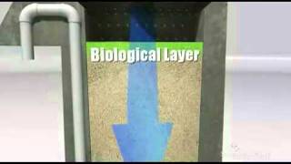 BioFilter Video copy [upl. by Berton]