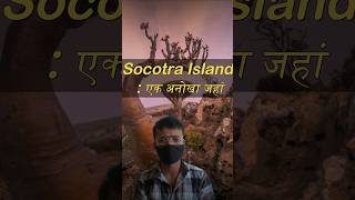 Socotra Island  SACHINROKDA  island socotraisland drachen yemen facts [upl. by Odyssey]