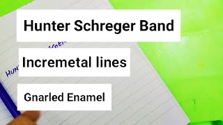 Hunter Schreger Band Incremental lines Gnarled Enamel [upl. by Netsrejk]