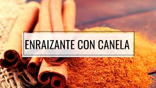 🔴 ENRAIZANTE NATURAL Con CANELA Para Tus ESQUEJES y PLANTAS 🚀  AYUDA y PROTEGE [upl. by Photina]