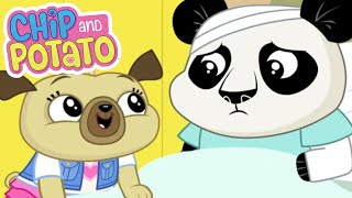 Chip and Potato  Chip de viaje al hospital  Dibujos animados para niños  Mira más en Netflix [upl. by Quackenbush]