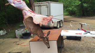 Skinning a deer with a winch 2 [upl. by Etak]