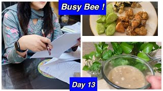 Day 13 Military Diet for Fat Loss What I eat in a day to lose 25kgs by Aleezay ReviewsDaily Vlog [upl. by Dru]