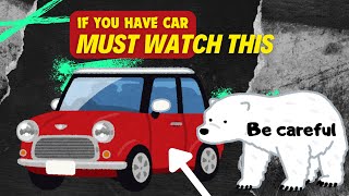 Be Carful If You have a Car Always Lock your car door Couse Polar Bears [upl. by Quentin]