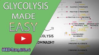 Glycolysis MADE EASY 2020  Carbohydrate Metabolism Simplified [upl. by Vigor817]