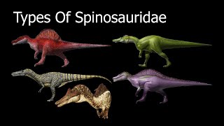 Types Of Spinosauridae [upl. by Cacie]