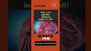 What is cytoplasm sciencehub science facts biology cellbiology [upl. by Kylila]