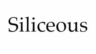 How to Pronounce Siliceous [upl. by Wight129]