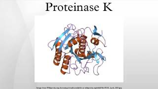 Proteinase K [upl. by Nedmac]