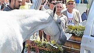 Cavalo em velório de vaqueiro comove família na Paraíba [upl. by Akehs]