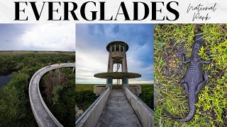 Everglades National Park Travel Guide 1 Day Exploring the Parks Trails Tours amp Wildlife [upl. by Sheedy834]