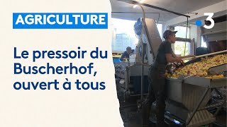 Le pressoir de la ferme du Buscherhof ouvert aux particuliers et aux professionnels [upl. by Adaran222]