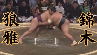 狼雅（二子山部屋）VS錦木 令和6年11月場5日目sumo 相撲 二子山部屋 [upl. by Blackmore]