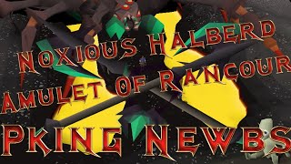 Noxious Halberd  Gmaul Can Hit 505067 In Max BH Gear OSRS PKINGPVP [upl. by Fakieh]