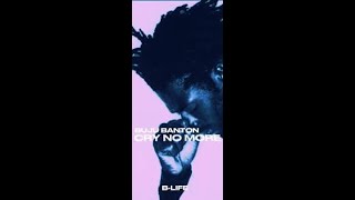 Buju Banton  Cry No More [upl. by Teague]