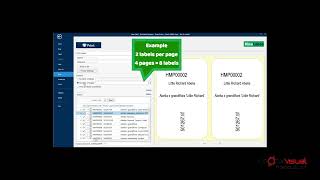 Nicelabel Controlling the Number of Print Labels [upl. by Aramal]