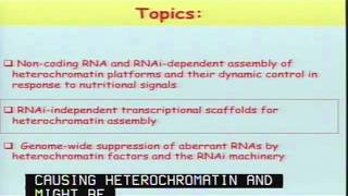 Epigenetic Genome Control by Heterochromatin and RNAi Machinery [upl. by Honan]