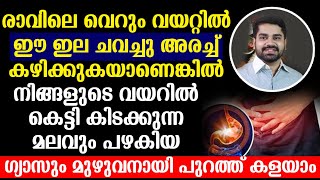 ഈ ഇല ചവച്ചു കഴിക്കുകയാണെങ്കിൽ മലവും പഴകിയ ഗ്യാസും മുഴുവനായി പുറത്ത് കളയാം  Remedies for acidity [upl. by Oiramej]