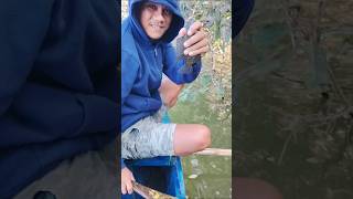 GIANT TILAPIA FISHING IN MALINAO DAM the best techniques revealed short youtubeviral giantfish [upl. by Kerwon]