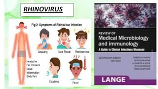 Microbiology  Rhinovirus microbiology rhinovirus [upl. by Alioz]