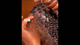 Twist Braids tutorial [upl. by Etnahsa]