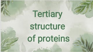 Tertiary Structure Of Proteins  Microbiology  Biochemistry [upl. by Noisla]