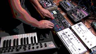 New Beat EBM live w Moog Dreadbox Electribe 303 Blofeld Tetra quotLos Infantes del Excelsiorquot [upl. by Wattenberg589]