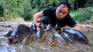 Primitive Skills Discovered a school of fish escaped from the pond [upl. by Jarvis]