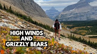 Grizzly Bear Encounter on Siyeh Pass Trail in Glacier National Park [upl. by Ebner349]