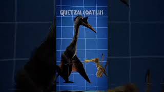 ¿Sabías que jurassicworlddominion quetzalcoatlus morosintrepidus ornithocheirus microraptor [upl. by Slyke]