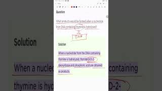 What products would be formed when a nucleotide from DNA containing thymine is hydrolysed [upl. by Wilden816]