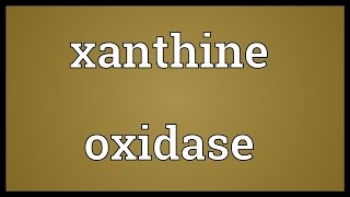 Xanthine oxidase Meaning [upl. by Asil]