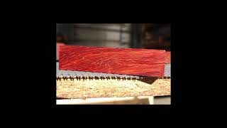 Bloodwood facts [upl. by Apoor332]